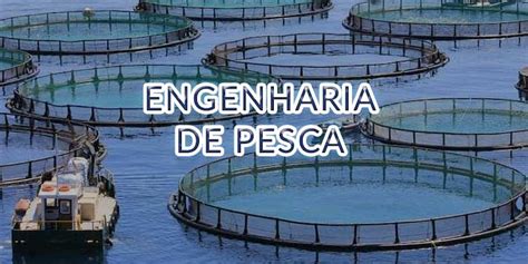 Engenharia De Pesca Portal Do Economaster