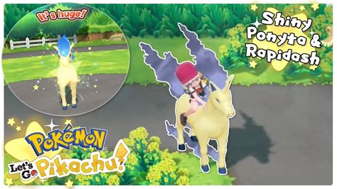 Pikachu Images: Pokemon Lets Go Pikachu Shiny Ponyta