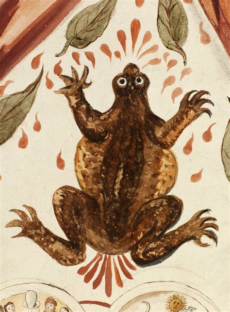 Ancient Remedies And Bizarre Cures You Won't Believe Existed