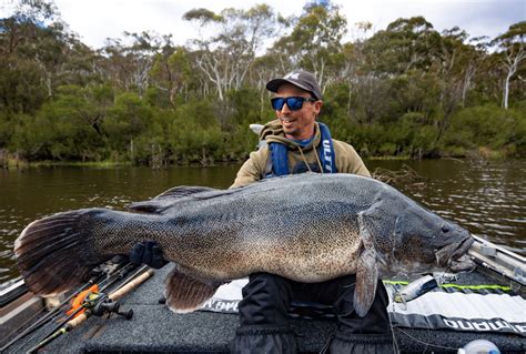 Googong Dam Giant Cod Hooked Up Magazine