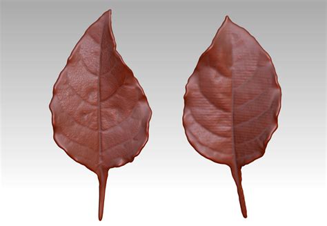 Artstation 3d Printing Stl Leaf Sculpture 3d Diagram Zbrus Leaf Brush