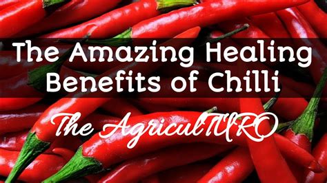 Amazing Healing Benefits Of Chilli YouTube