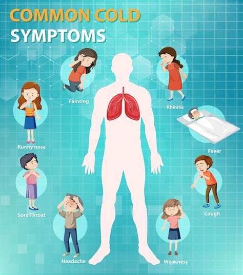 Free Vector | Common cold symptoms cartoon style infographic