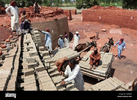 Men Stacking Bricks In A Brick Kiln Of A Brick Factory Lahore Stock