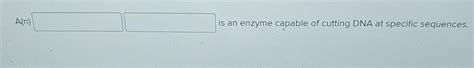 Solved A(n) ﻿is an enzyme capable of cutting DNA at | Chegg.com 