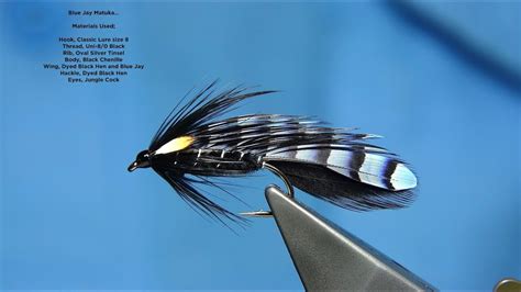 Tying A Blue Jay Matuka Fly By Davie McPhail YouTube