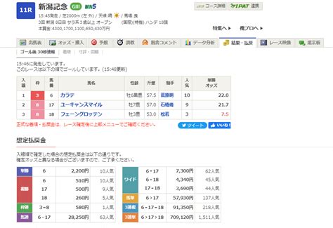 新潟記念 GⅢ 新潟競馬場 芝2000 9月4日 カラテ優勝 菅原明ジョッキー 中央競馬重賞回顧