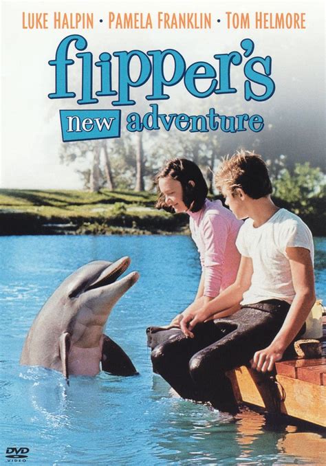 Best Buy Flippers New Adventure Dvd 1964