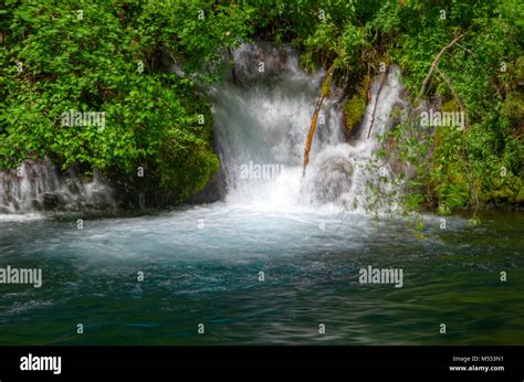 Cold Springs Pour Into The Metolius River Near Wizard Falls Stock Photo