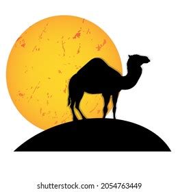 Camel Sunset Sunrise Moon Silhouette Stock Vector (Royalty Free ...