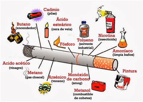 Como Promover La Salud Del Cuerpo Tabaco