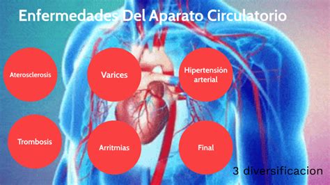 Enfermedades aparato circulatorio by José Raúl el crack on Prezi