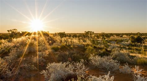 The Nature Conservancy In Australia