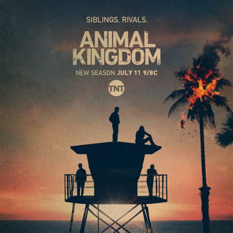 Animal Kingdom: Season Five Premiere Date Revealed by TNT - canceled ...