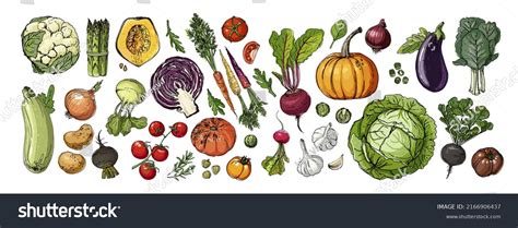 Food Vector Vegetables Colored Sketch Food Stock Vector (Royalty Free) 2166906437 | Shutterstock