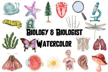 Watercolor Biology Biologist Clipart By Wiedigitalart Tpt