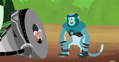 Wild Kratts | Red Panda Rescue Mission | PBS