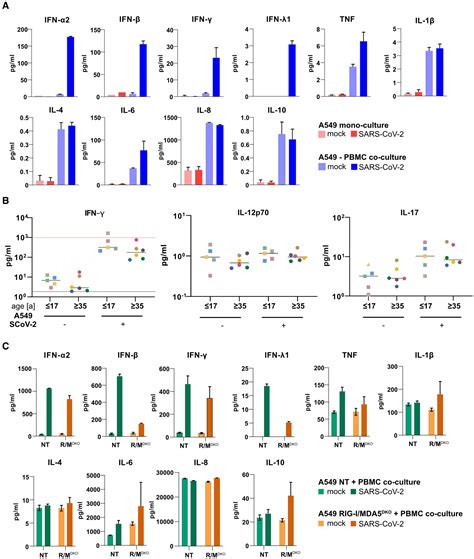 Immuneepithelial Cell Crosstalk Enhances Antiviral Responsiveness To