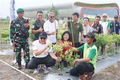 Pj Bupati Dorong Petani Di Kobar Optimalkan Pengembangan Komoditas