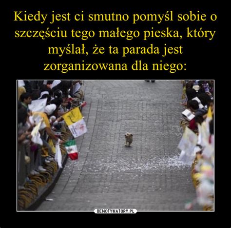 Kiedy Jest Ci Smutno Pomy L Sobie O Szcz Ciu Tego Ma Ego Pieska Kt Ry