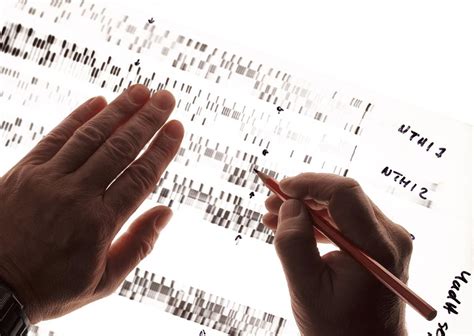 The Job Of A Dna Analyst