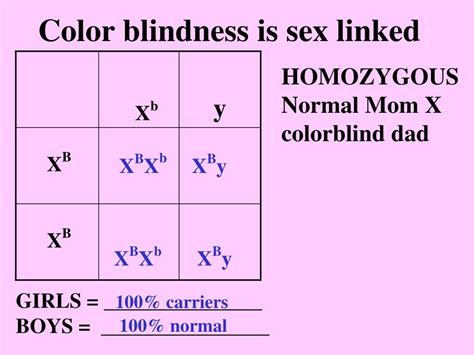 Ppt Sex Linked And Sex Influenced Traits Powerpoint Presentation