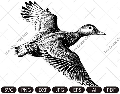 Duck Svg Duck Flying Svg Duck Clipart Duck Png Duck Head Inspire