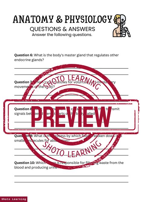 Anatomy And Physiology Questions And Answers Worksheet Test Your