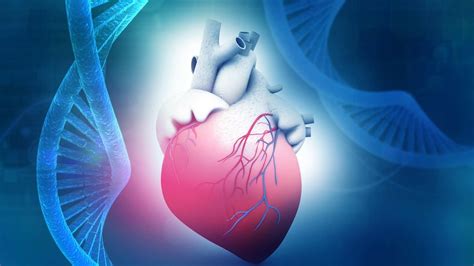 Genes and congenital heart disease - ABC listen