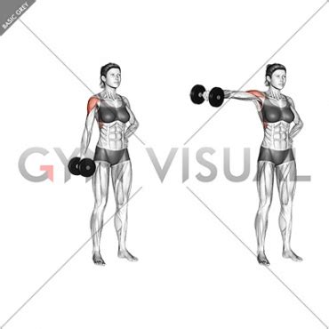 Dumbbell One Arm Lateral Raise Female