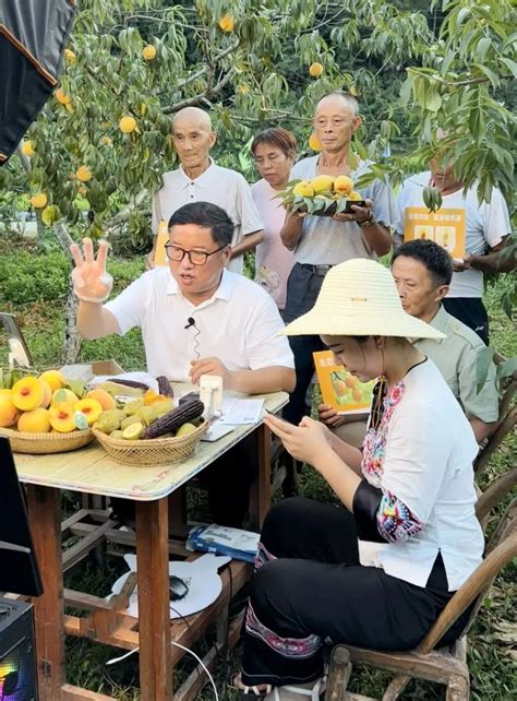 张家界市新阶联优选直播“流量赋能”助力乡村振兴 统战要闻 新湖南