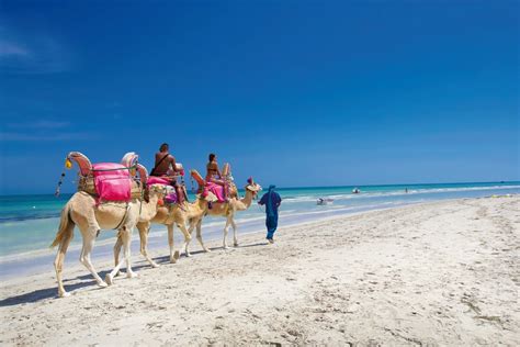 Djerba » Voyage - Carte - Plan