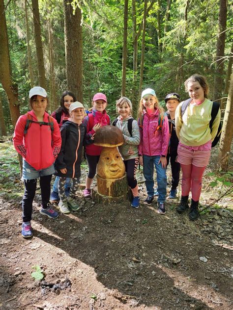 Waldjugendspiele Grundschule Neukirchen