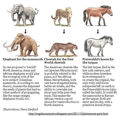 Pleistocene rewilding - Alchetron, The Free Social Encyclopedia