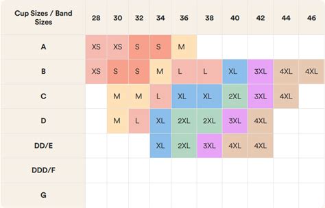 Bra Sizes Calculator