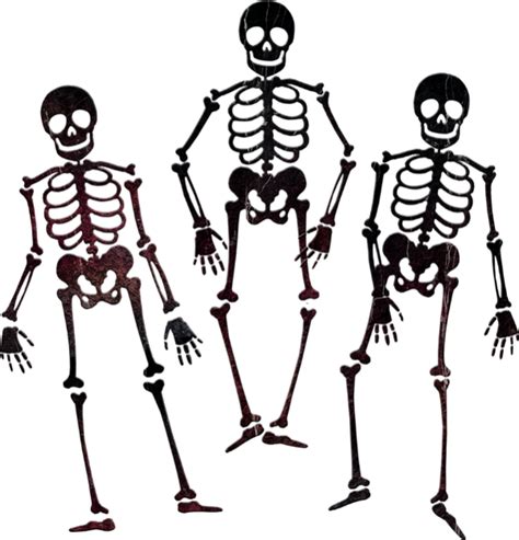 Squelettes Png Dessin Tube Halloween Skeletons Png