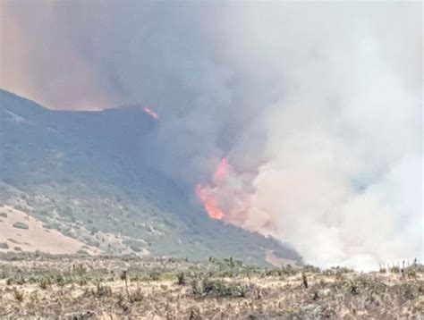 Onemi Declaró Alerta Roja Para La Comuna De Quilpué Incendio Forestal