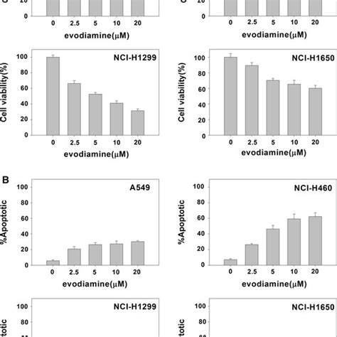 Evodiamine Induced Anti Proliferation And Apoptosis In Wild Type Egfr