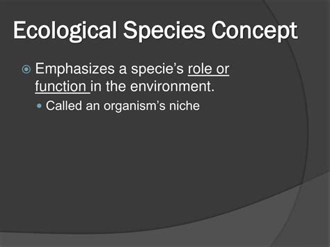 Ppt Chapter 24 The Origin Of Species Powerpoint Presentation Free