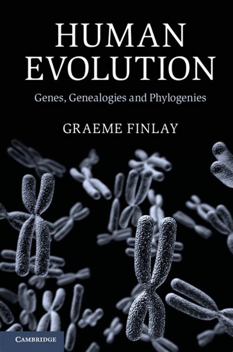 Human Evolution Genes Genealogies And Phylogenies NHBS Academic