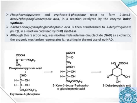 SHIKIMIC ACID PATHWAY | PPT