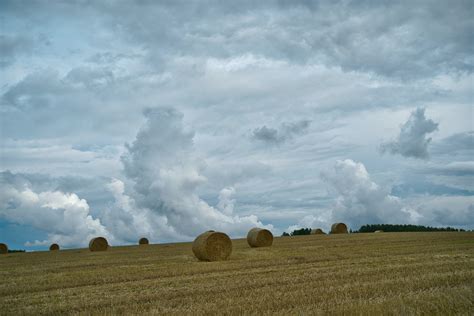 Tips On Making Late Silage Farm Safely