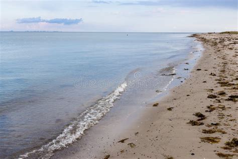 Beach in Jutland, Denmark stock image. Image of seascape - 73821175