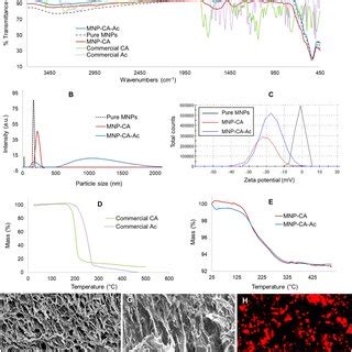 Characterization Of Pva Mnp Hydrogels A Ftir Spectra Of All Samples