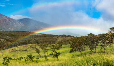 Rainbow Maui Hawaii Foto And Bild North America United States Hawaii