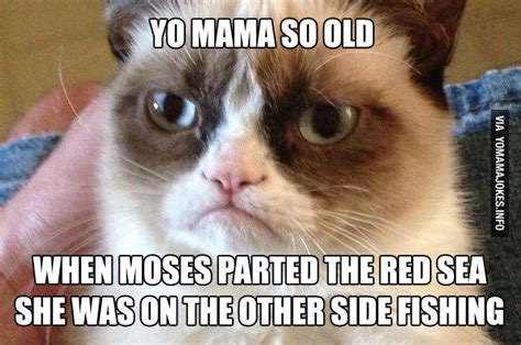 Yo Mama So Old