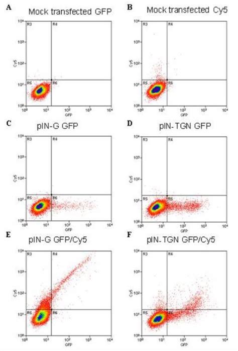 Differences In The Surface Levels Of Pin Fusion Proteins Determined By