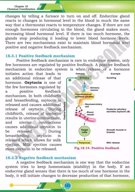 Chemical Coordination Chapter Biology Th Text Book