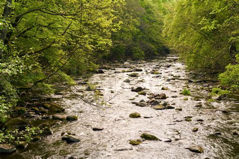 Harz National Park | Stock image | Colourbox