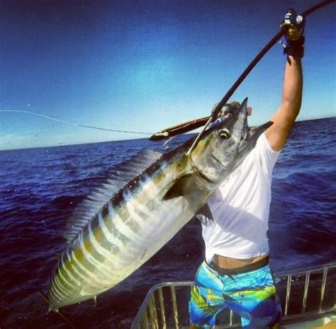 Islamorada Florida Keys. Fishing capital of the world. Tuna Fishing ...